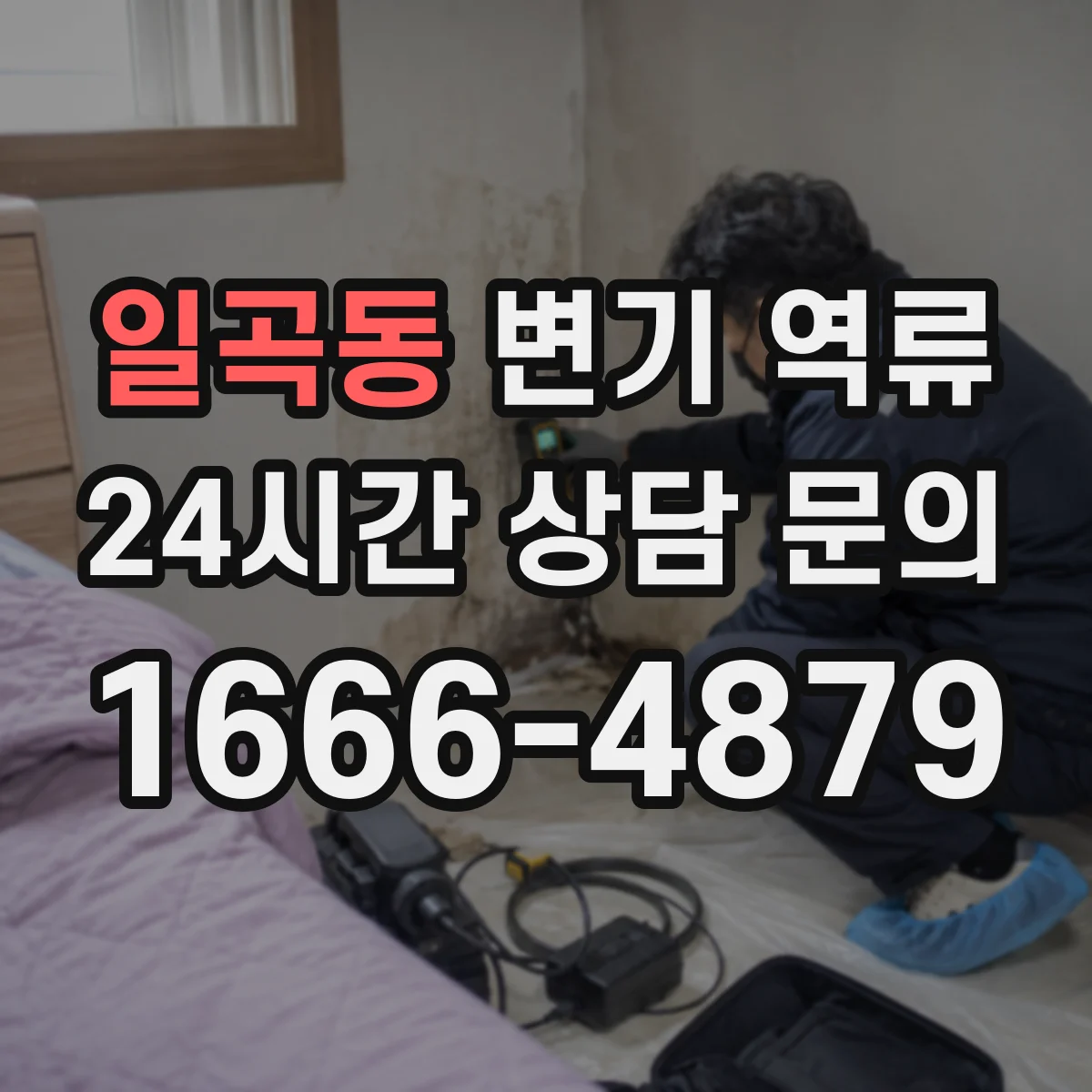 일곡동 변기 역류
