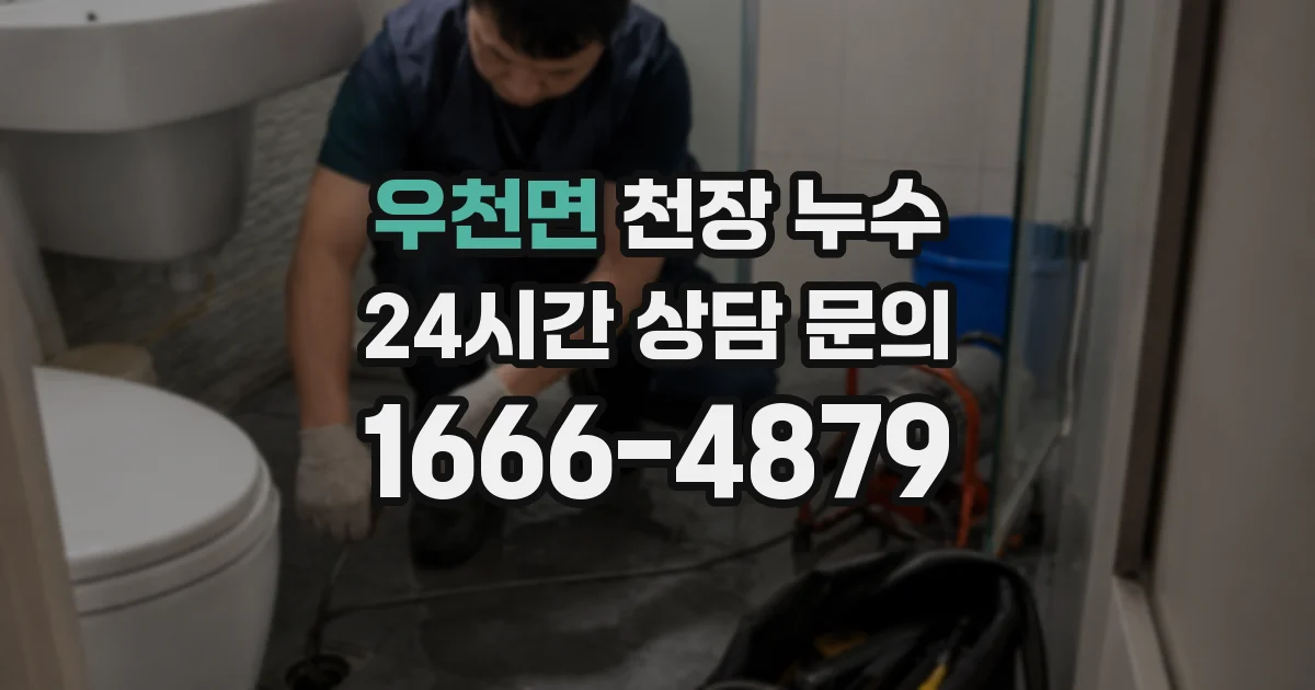 우천면 천장 누수
