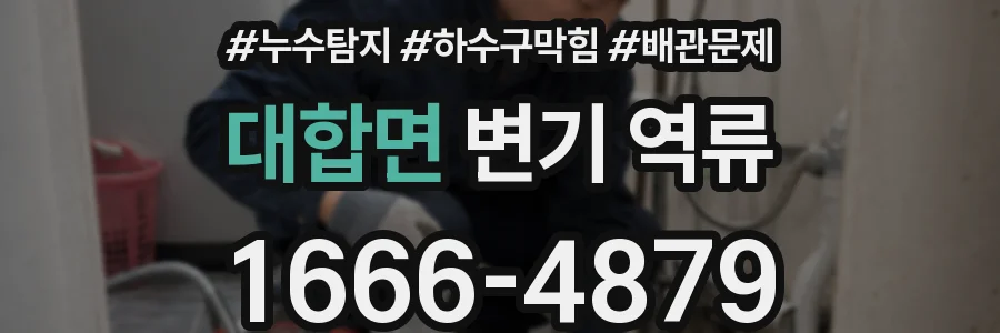 대합면 변기 역류