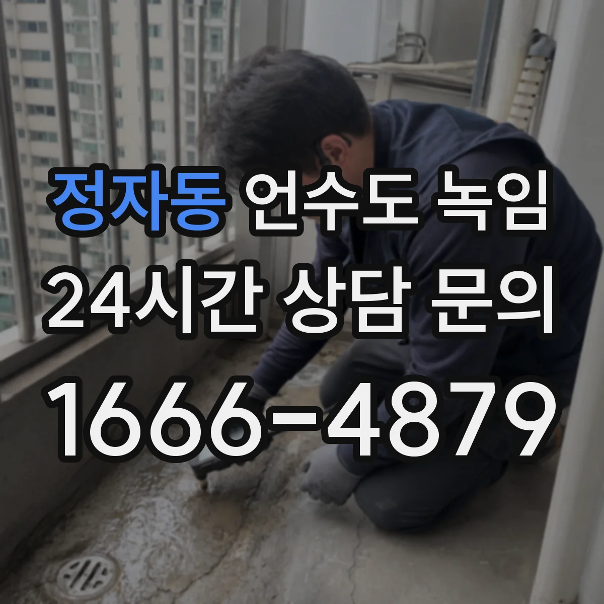 정자동 언수도 녹임