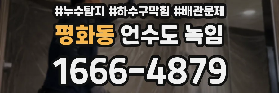평화동 언수도 녹임