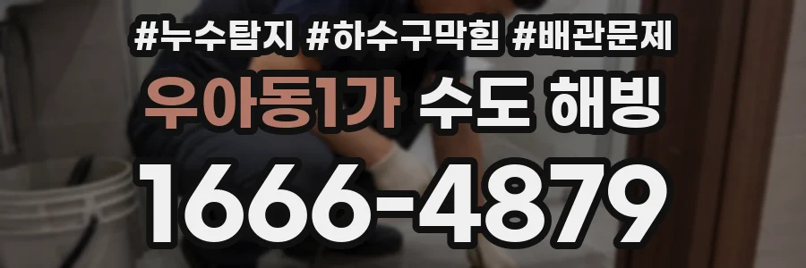 우아동1가 수도 해빙