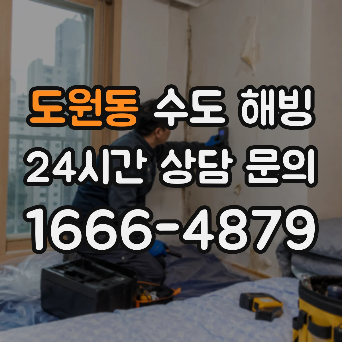 도원동 수도 해빙