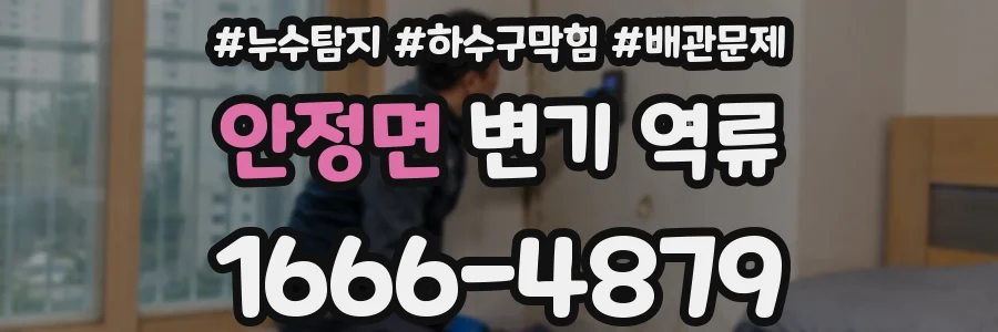 안정면 변기 역류