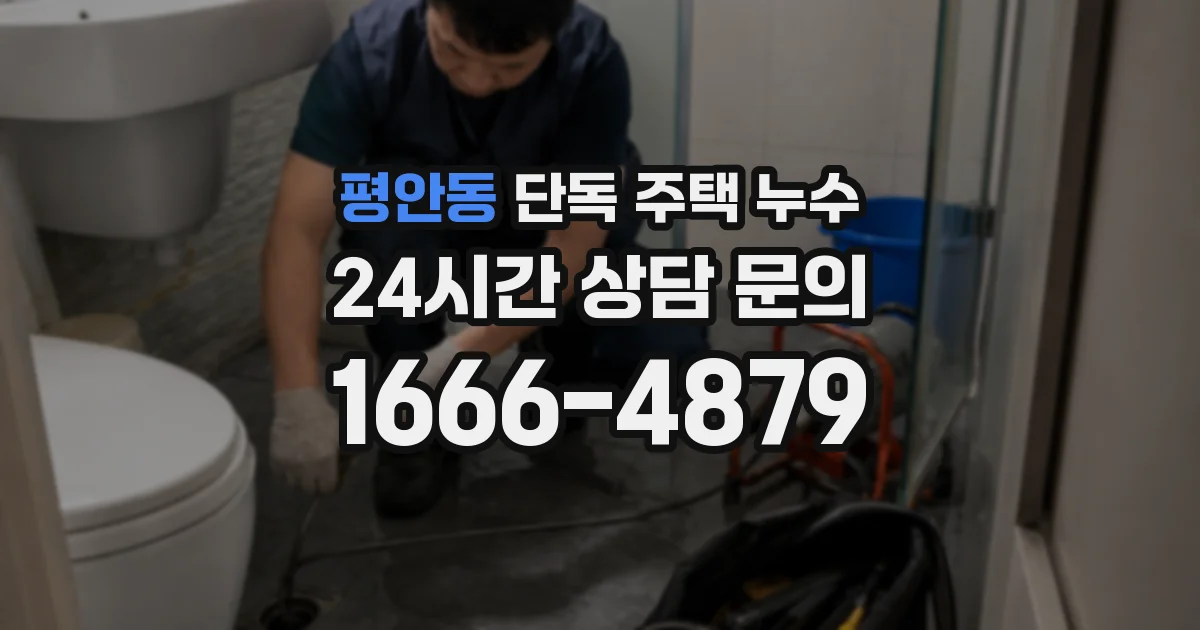 평안동 단독 주택 누수