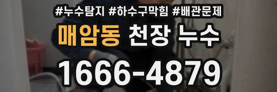 매암동 천장 누수