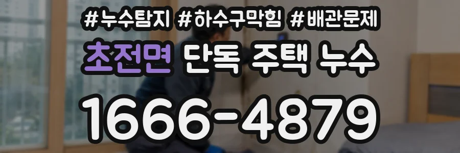 초전면 단독 주택 누수