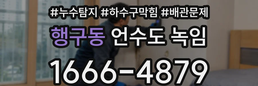 행구동 언수도 녹임