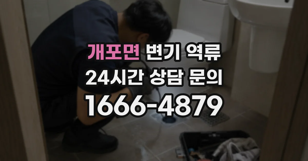 개포면 변기 역류