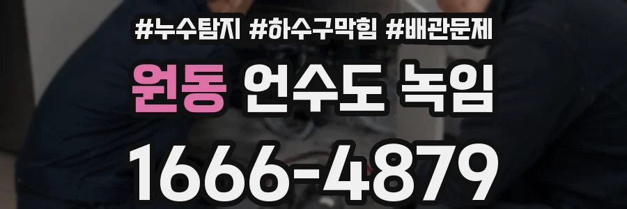 원동 언수도 녹임
