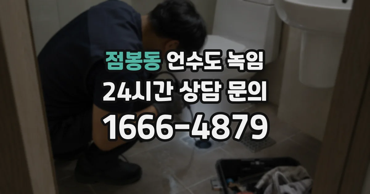 점봉동 언수도 녹임