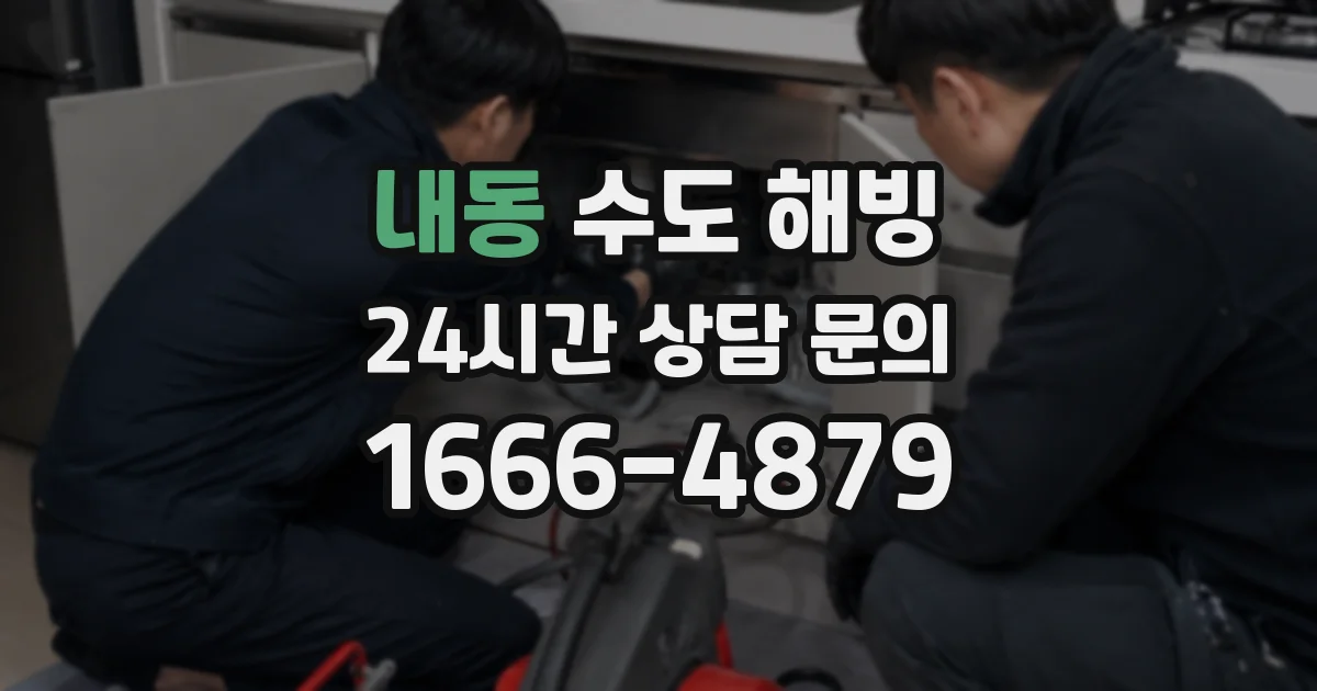내동 수도 해빙
