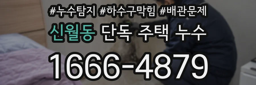 신월동 단독 주택 누수
