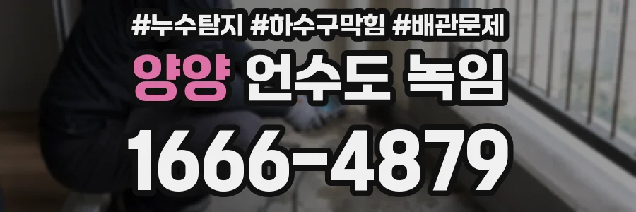 양양 언수도 녹임