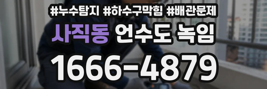 사직동 언수도 녹임