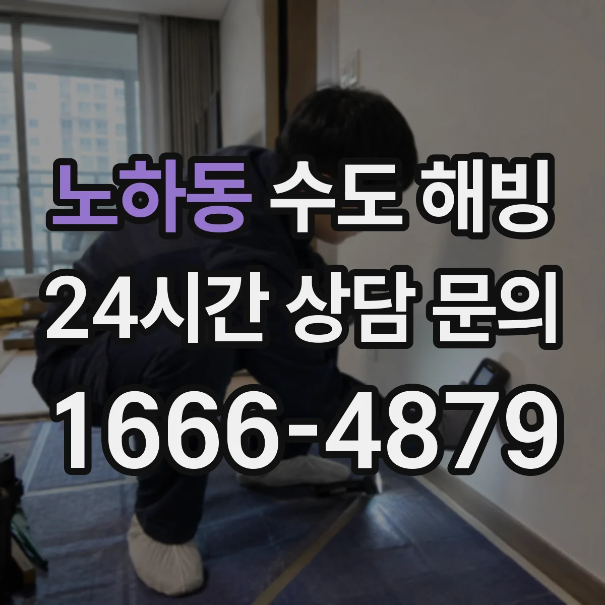 노하동 수도 해빙