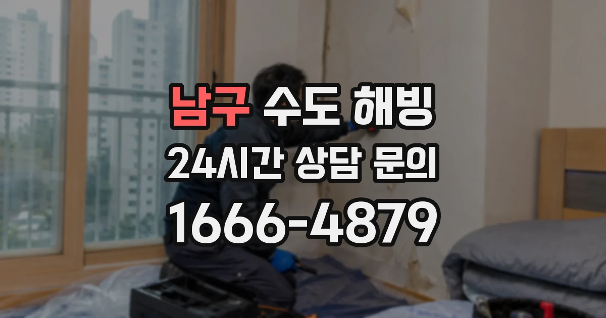 남구 수도 해빙