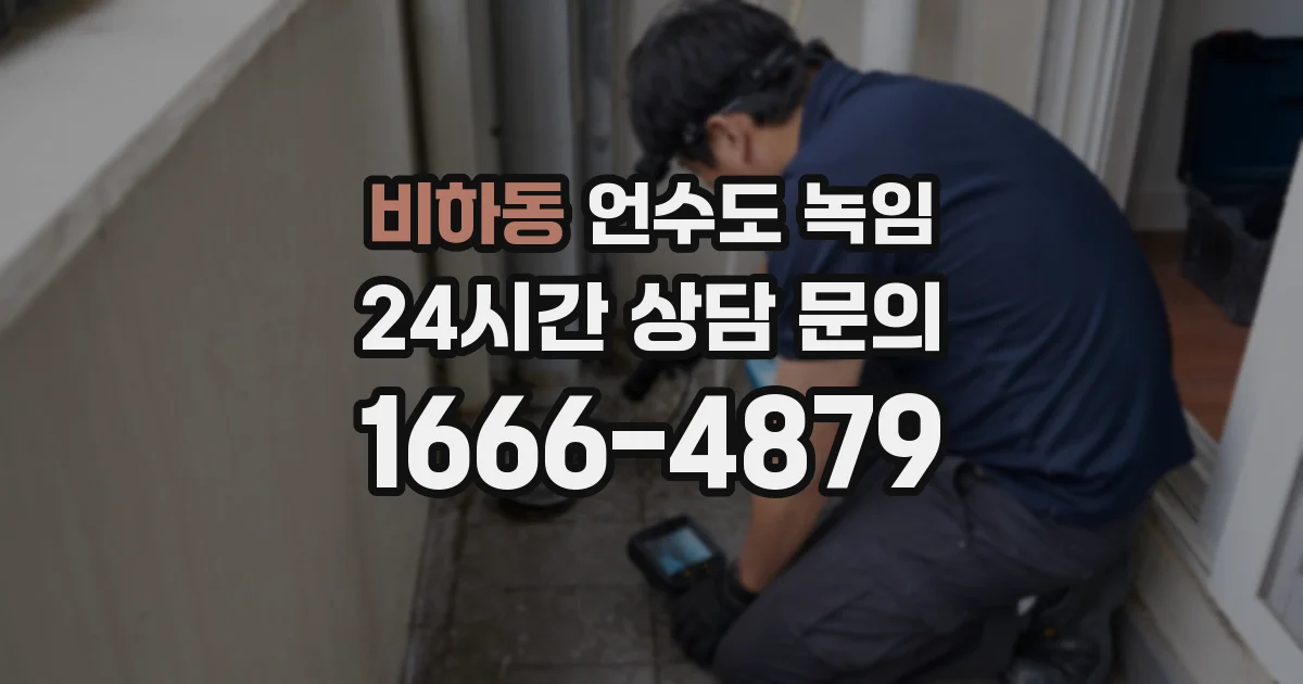 비하동 언수도 녹임