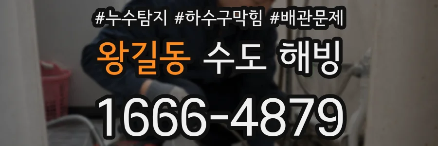 왕길동 수도 해빙