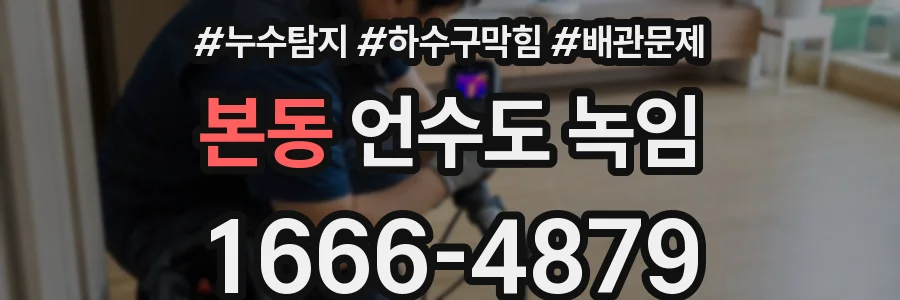 본동 언수도 녹임