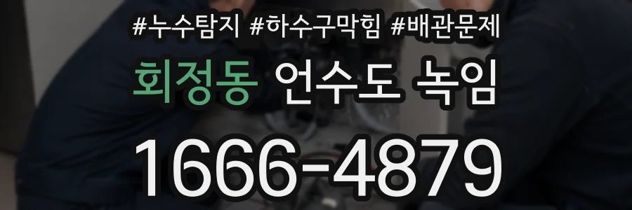 회정동 언수도 녹임