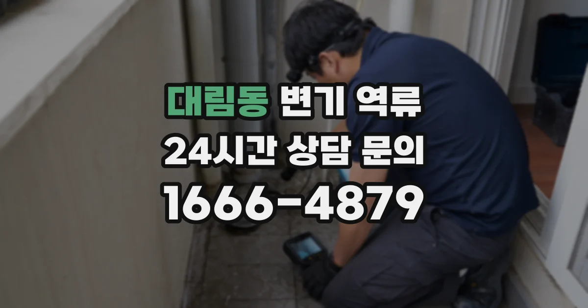 대림동 변기 역류