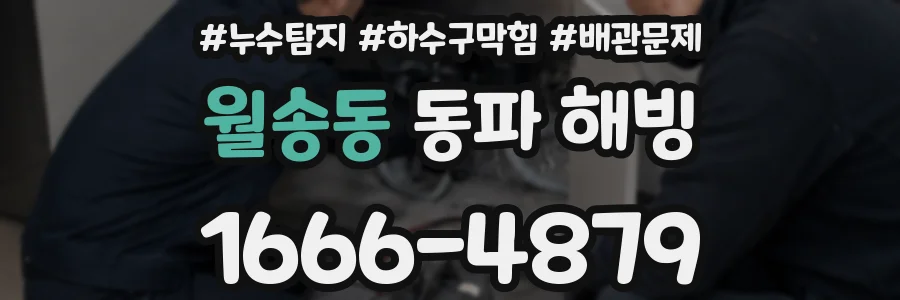 월송동 동파 해빙