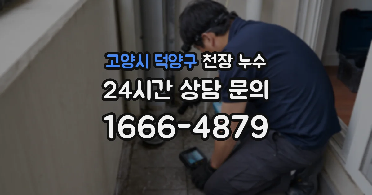 고양시 덕양구 천장 누수