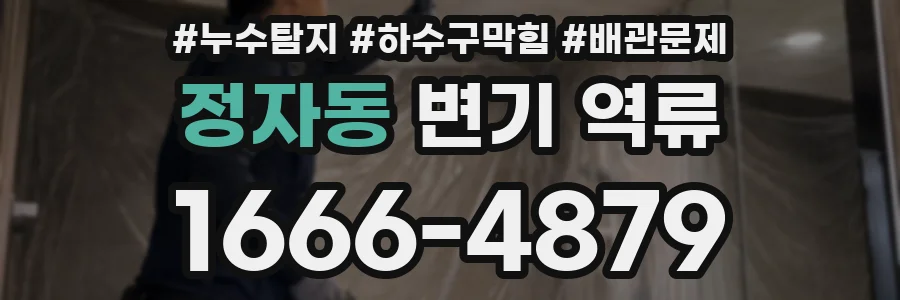 정자동 변기 역류