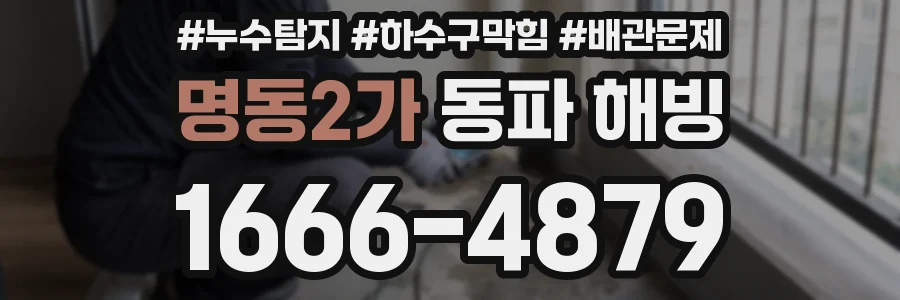 명동2가 동파 해빙