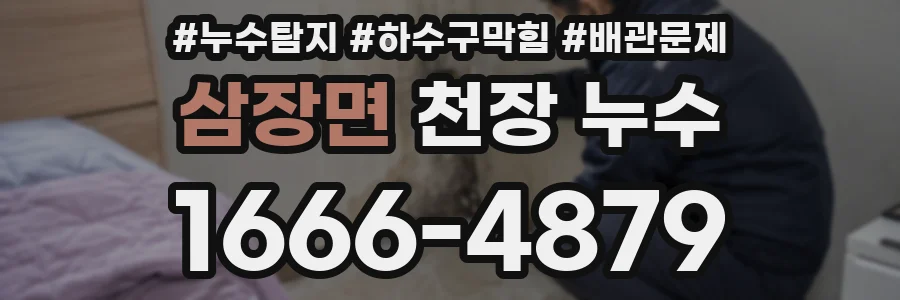 삼장면 천장 누수