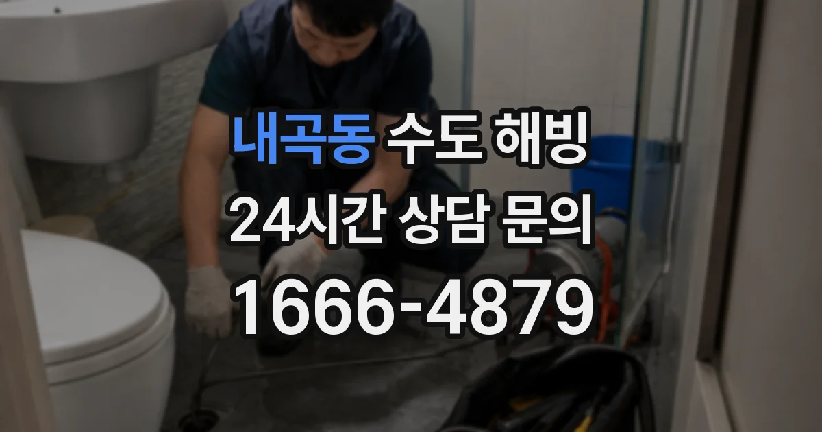 내곡동 수도 해빙