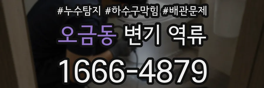 오금동 변기 역류