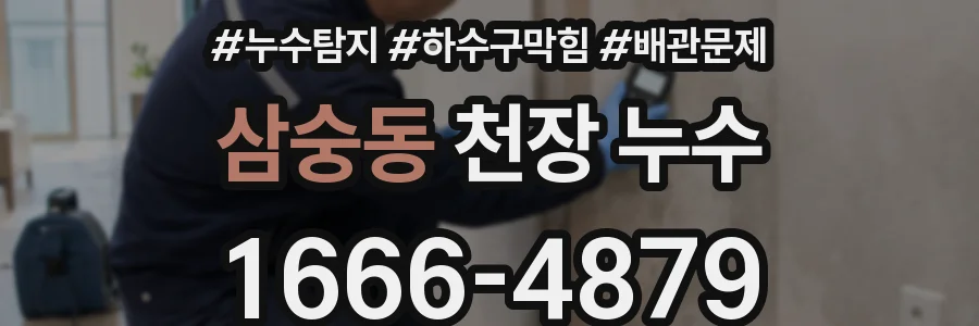 삼숭동 천장 누수