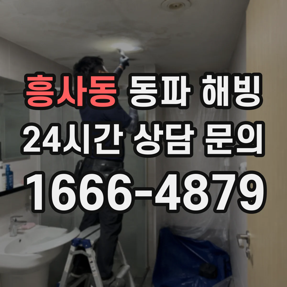 흥사동 동파 해빙