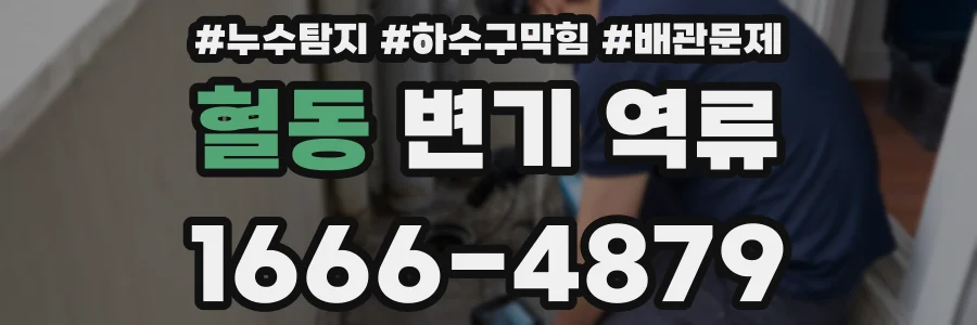 혈동 변기 역류