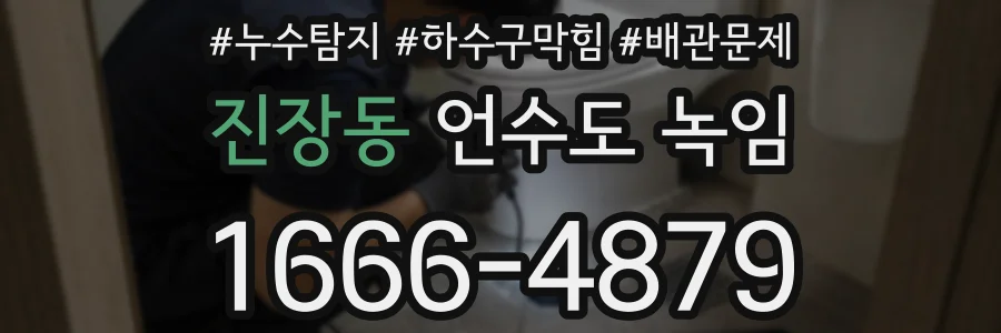 진장동 언수도 녹임