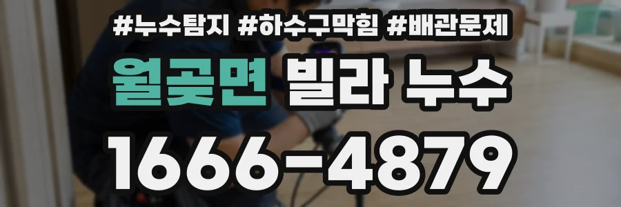 월곶면 빌라 누수