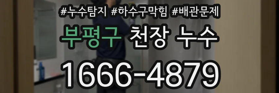 부평구 천장 누수