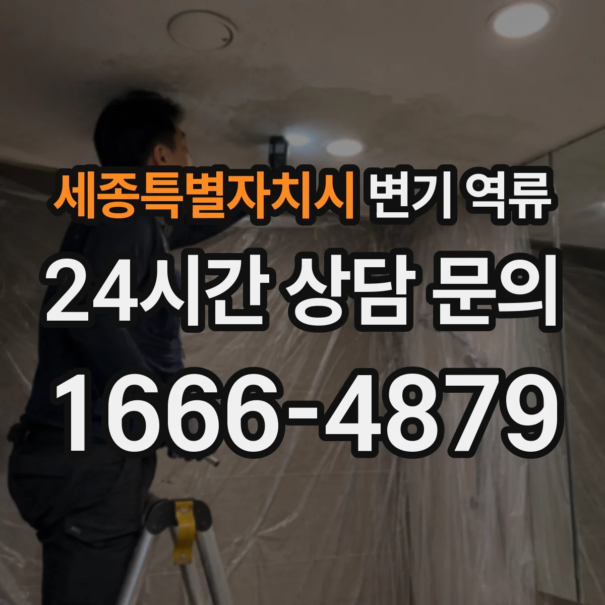 세종특별자치시 변기 역류