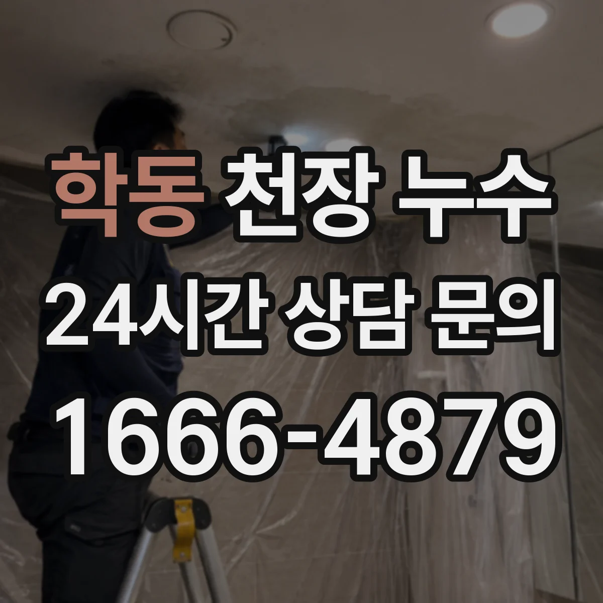 학동 천장 누수