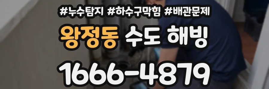 왕정동 수도 해빙