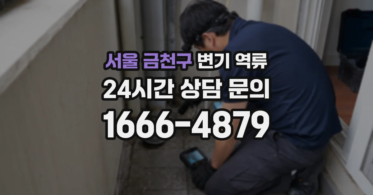서울 금천구 변기 역류