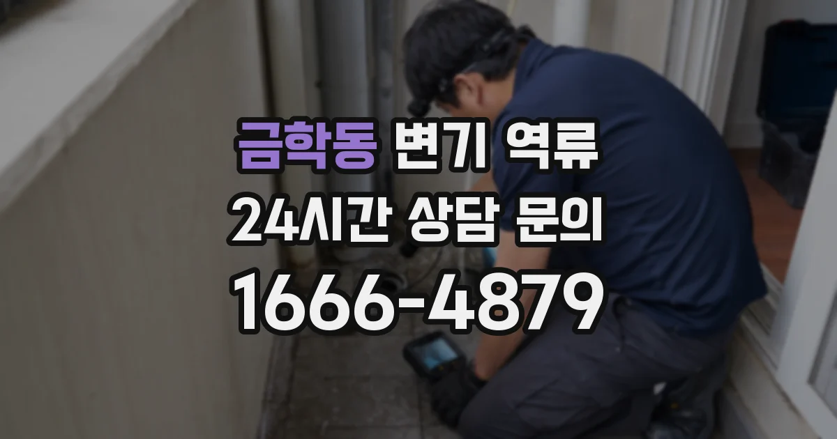 금학동 변기 역류
