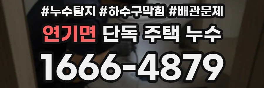 연기면 단독 주택 누수