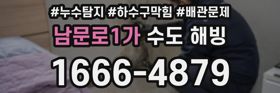 남문로1가 수도 해빙