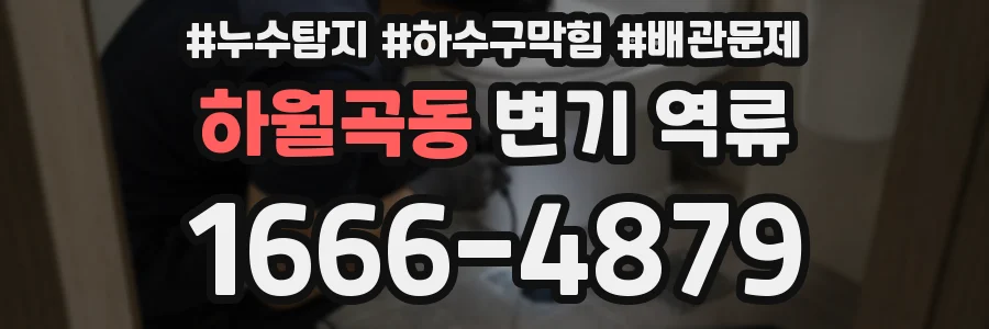 하월곡동 변기 역류
