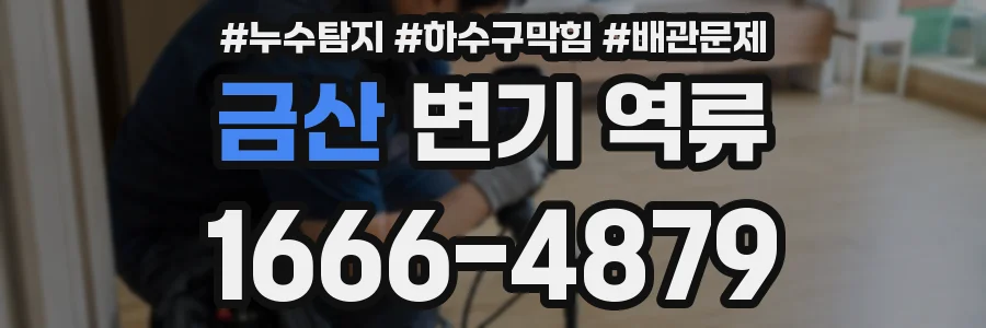 금산 변기 역류