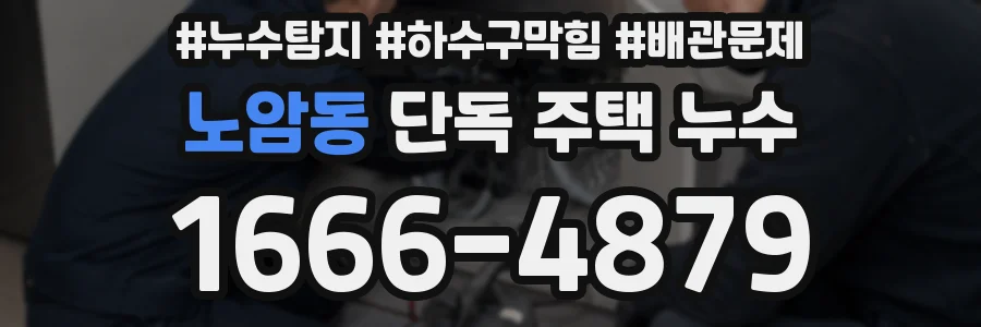 노암동 단독 주택 누수