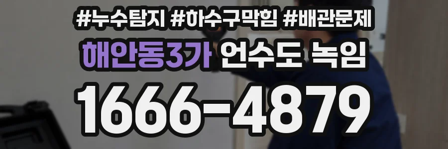 해안동3가 언수도 녹임